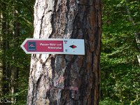 WWW Wanderung Calw-7